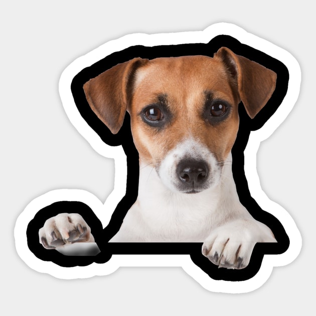 Pooch In My Pocket: Jack Russell Terrier Sticker by cameradog